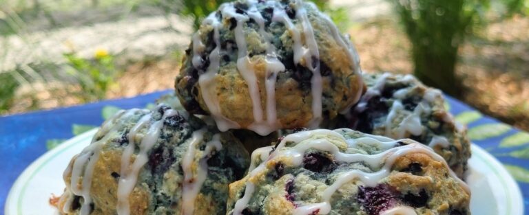 Farm-made blueberry scones.