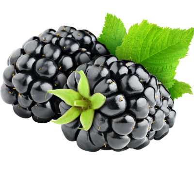 Pick your own blackberries at Tougas!