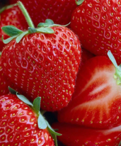 Jewel Strawberries are a strawberry variety grown at Tougas Family Farm