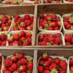 Quart Strawberries