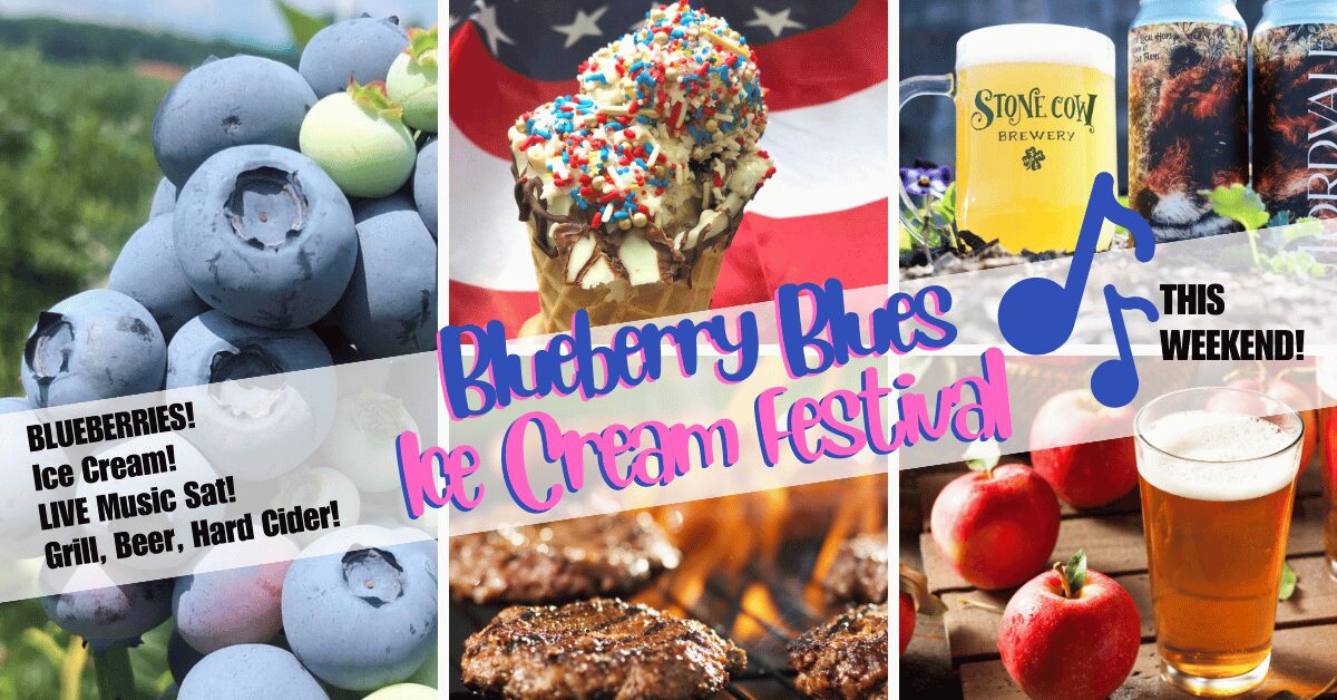 Blueberry Blues and Ice Cream Festival