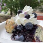 Blueberry Shortcake**