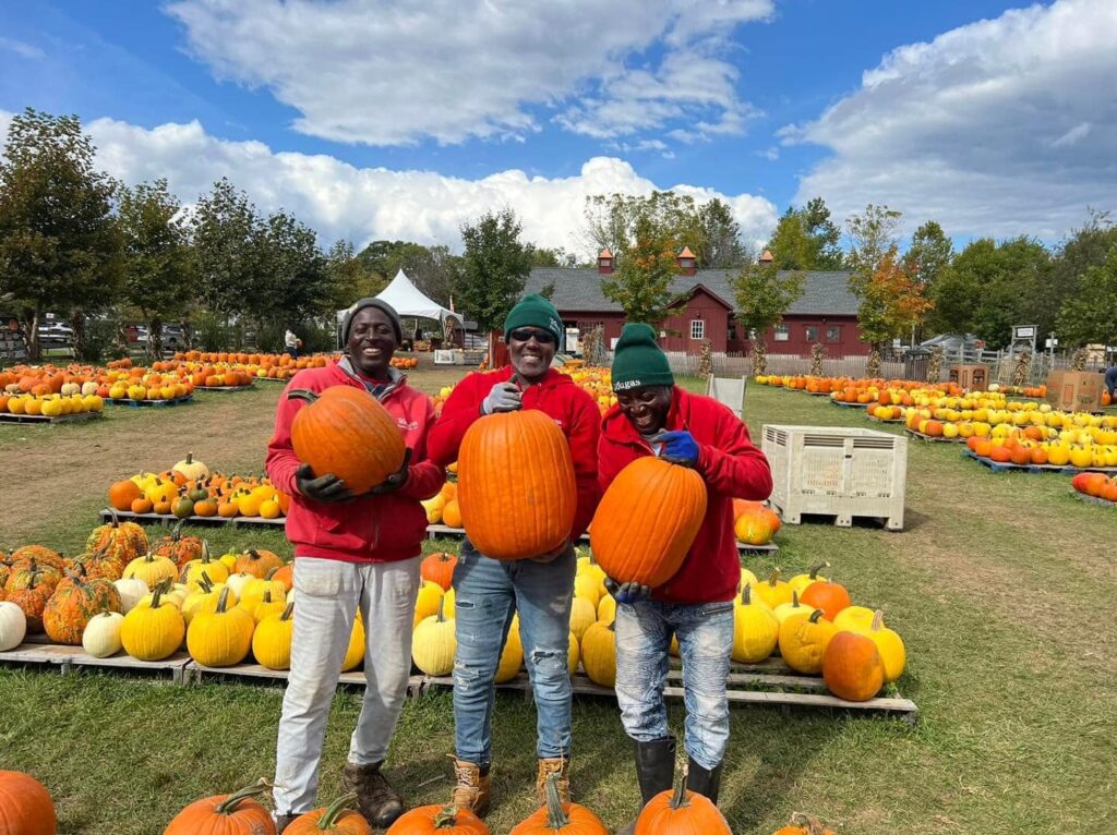 Employees in our Pumpkin Patch!