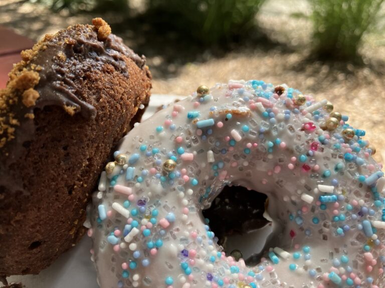 Unicorn Sprinkled Donut