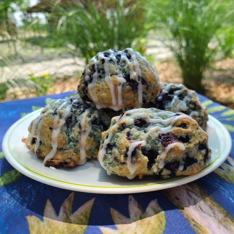 Farm-made blueberry scones