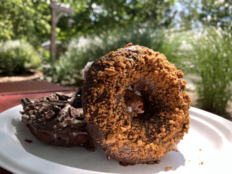 specialty chocolate donuts
