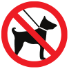 No dogs or pets allowed on the farm