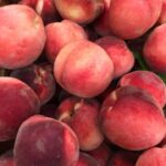 Peaches & Nectarines - Pick Your Own Season Early August through Early September