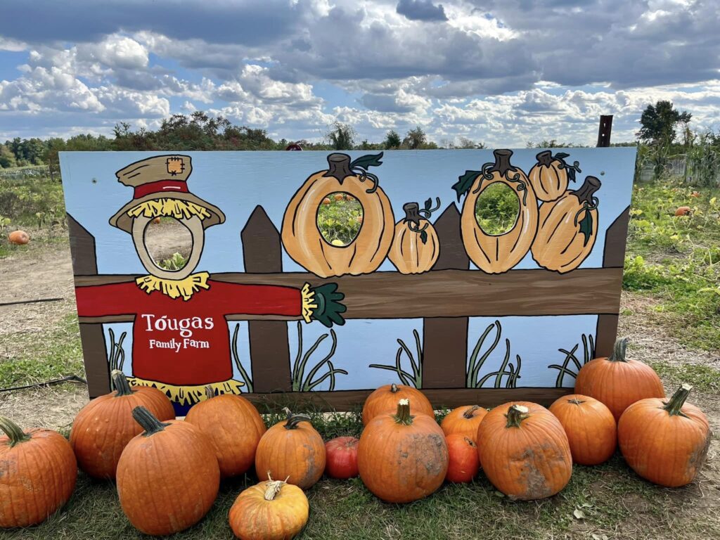 Pumpkin Patch scarecrow photo spot