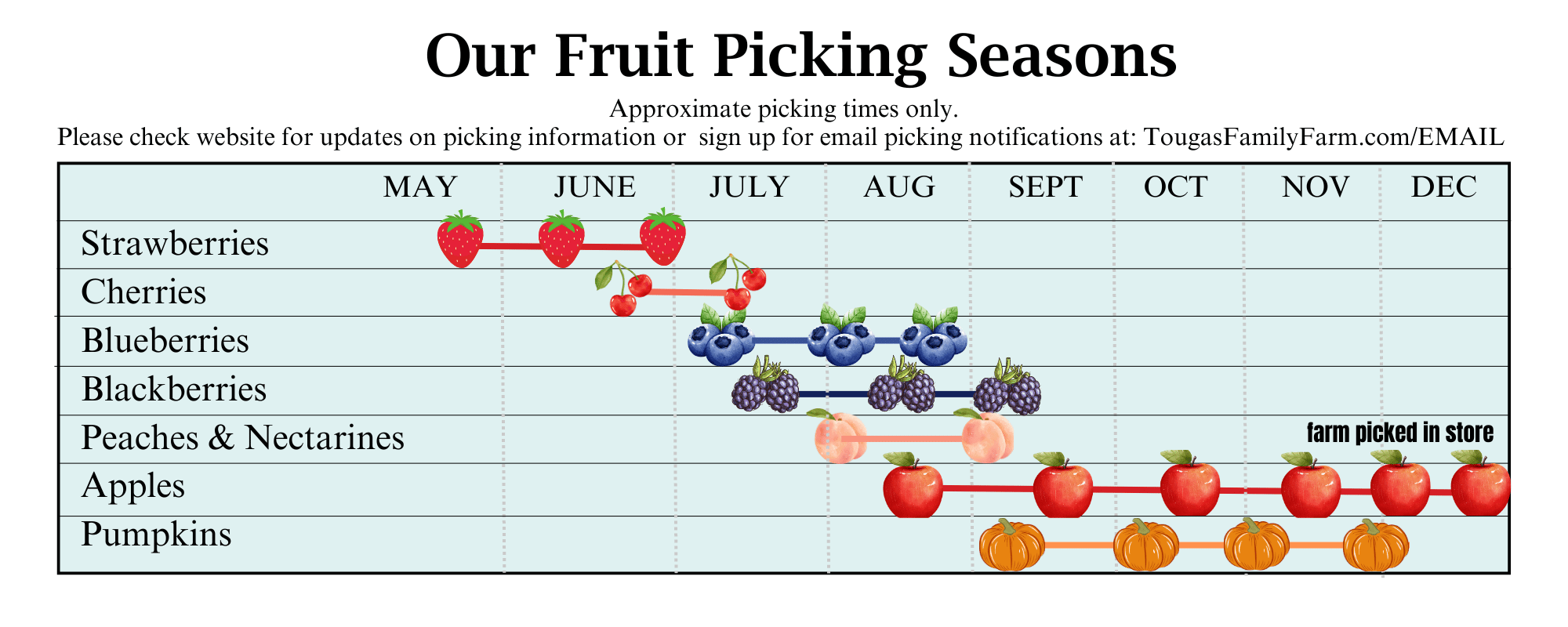 Pick your own fruit seasons here at Tougas Family Farm. Picking schedule.