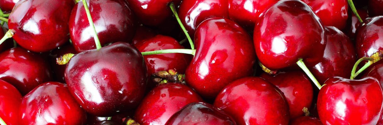 Cherry picking at Tougas is now open