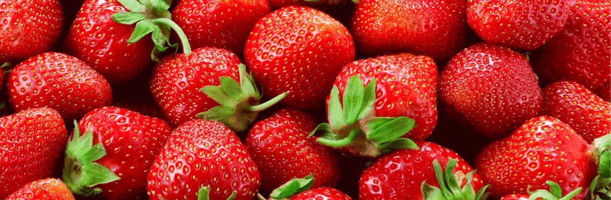 Strawberry picking experience. Pick your own strawberries.