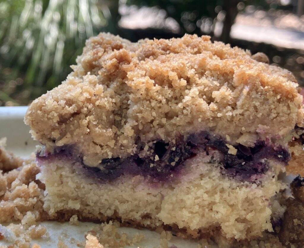 Tougas Family Farm Blueberry Coffee Cake Recipe