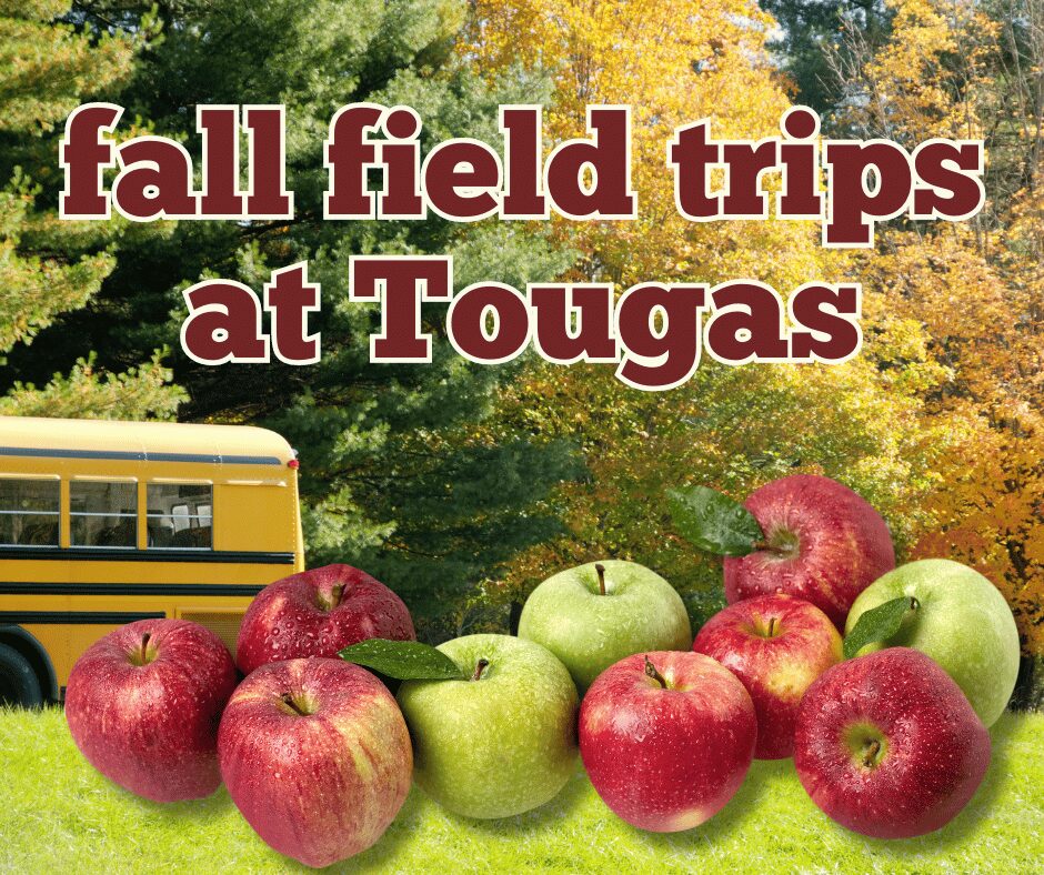 Book your Pre-K through Grade 3 field trip at Tougas!