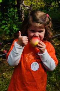 Young school aged child enjoying an apple during a field trip to Tougas!