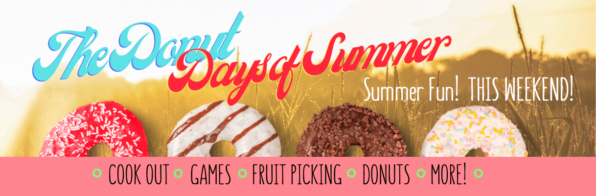 Donut Days of Summer!