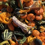 Decorative Gourds