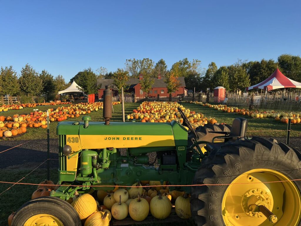 The Great Tougas Pumpkin Patch is open and ready for picking!