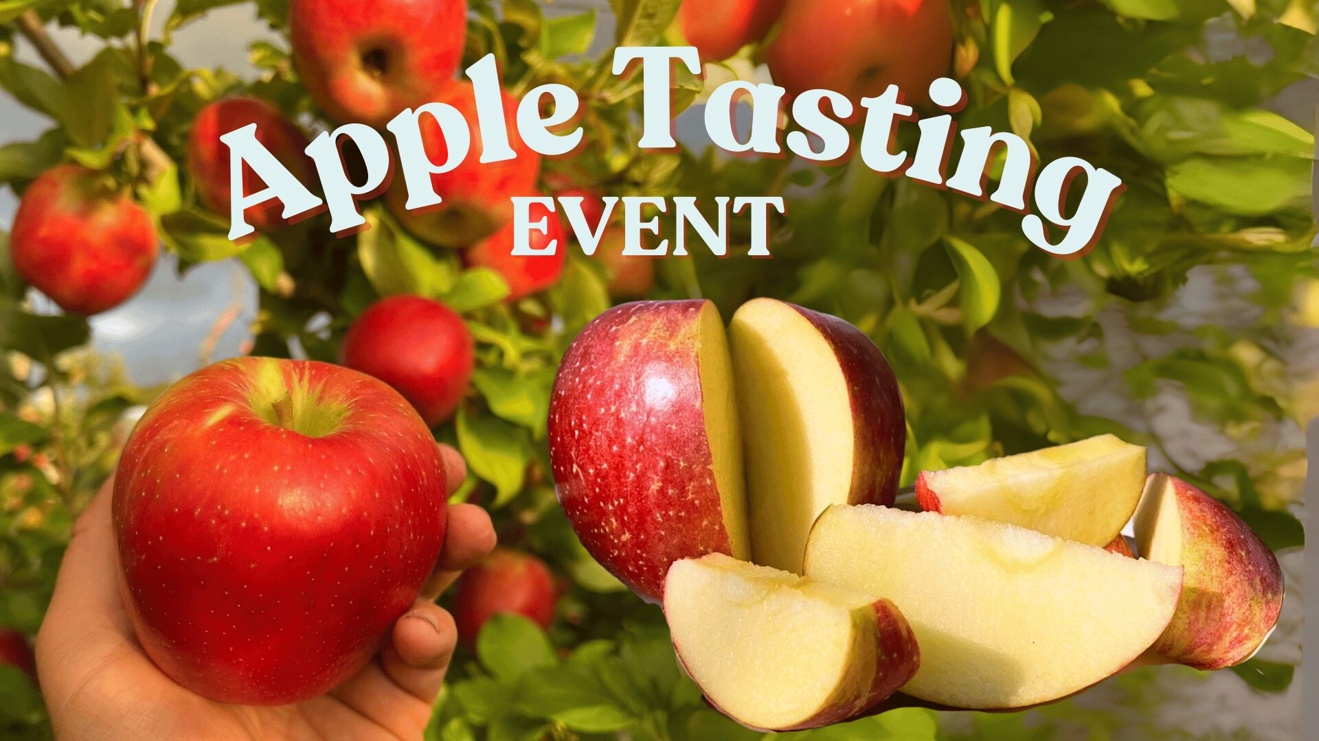 Apple Tasting Event