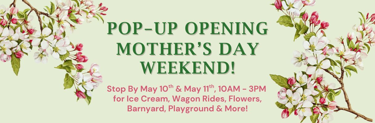 Open Mother's Day Weekend for Ice Cream!
