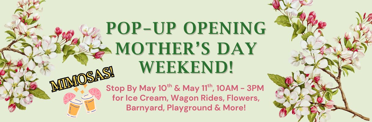 Open Mother's Day Weekend for Ice Cream!