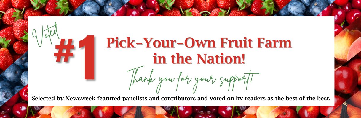 Number One Pick Your Own Fruit Farm in the Nation!