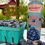 FRESH, FARM-PICKED BLUEBERRIES