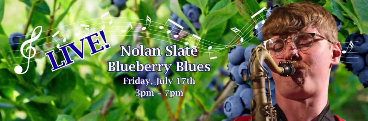 LIVE! Nolan Slate plays the blues for Blueberry Fest