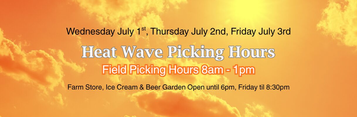 Pick your own fields closing early this week due to heat wave