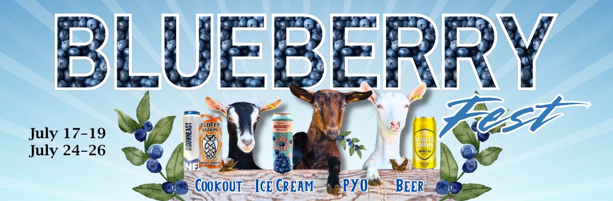 Peak Blueberry Season Festival