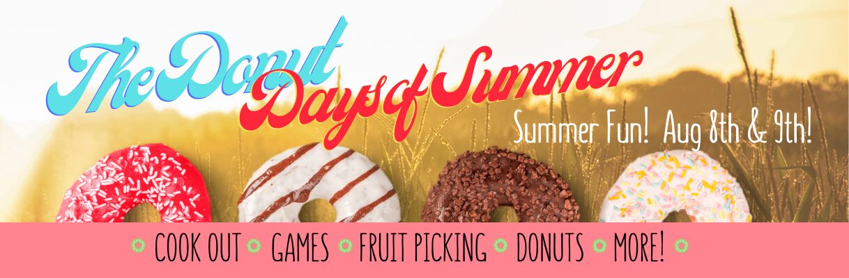 Good ol' fashioned summer picnic event!