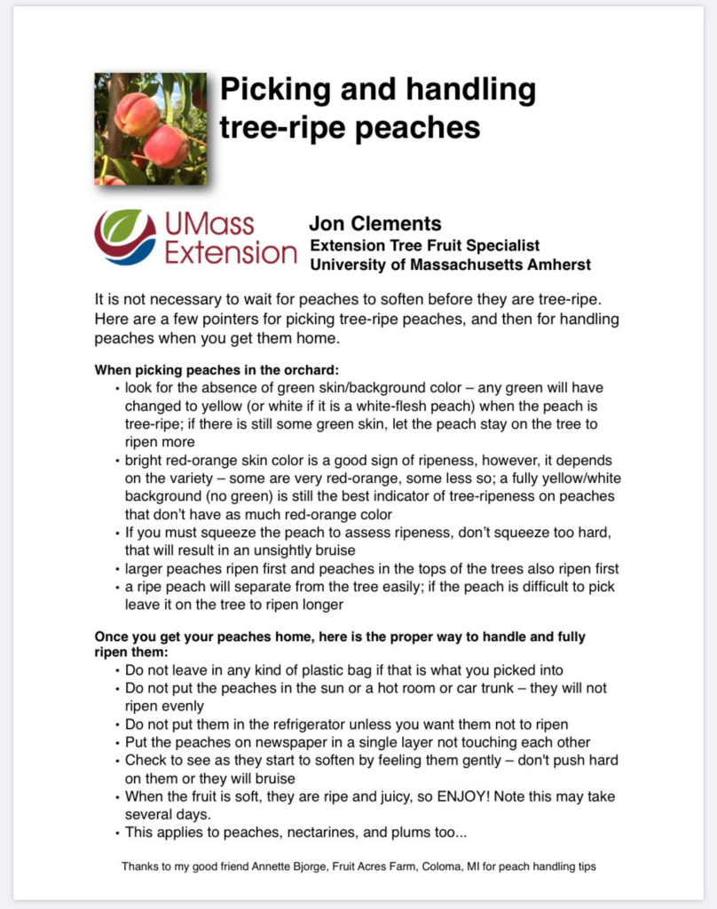 USDA PEACH PICKING AND RIPENING