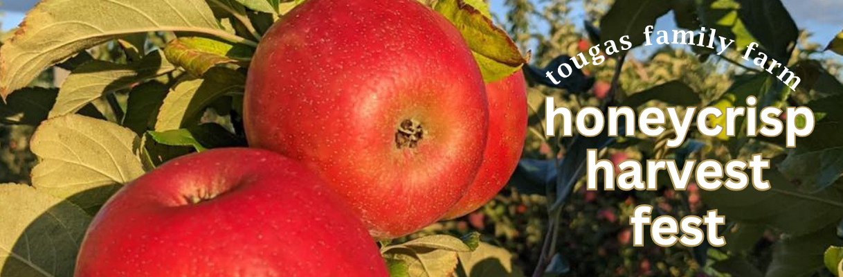 Honeycrisp Harvest Fest