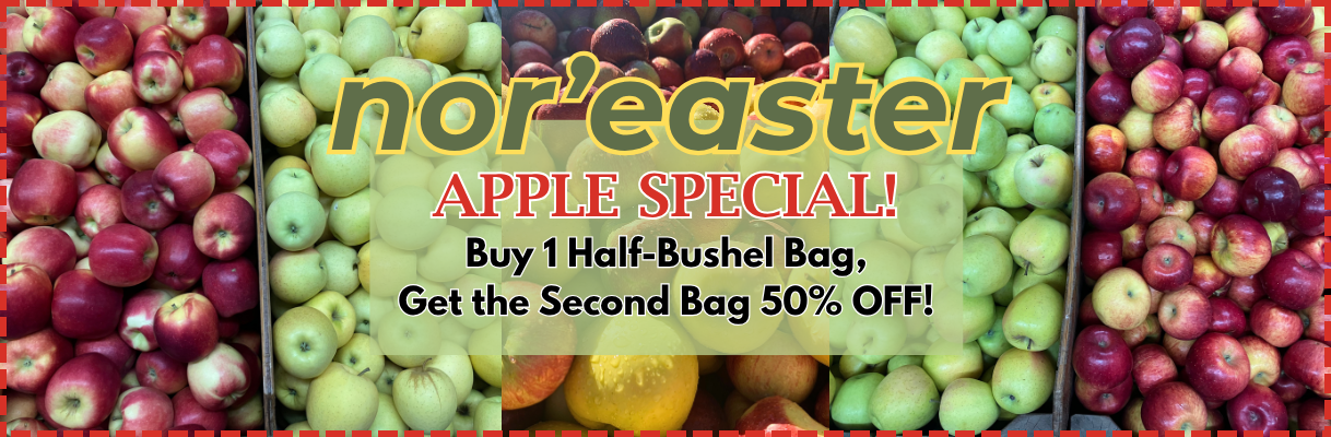 nor'easter apple special pricing