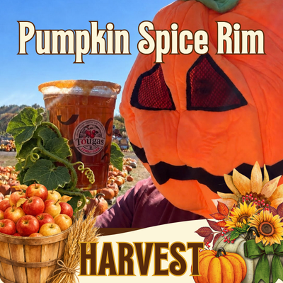 Beer Garden Pumpkin Specials!