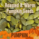 Roasted, Warm and Salted Pumpkin Seeds
