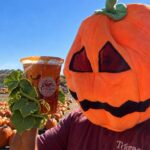 Pumpkin Spiced Rim